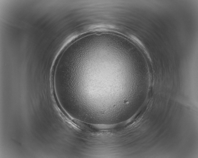 X0000058791384200509301129