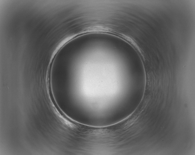 X0000058791387200509301129