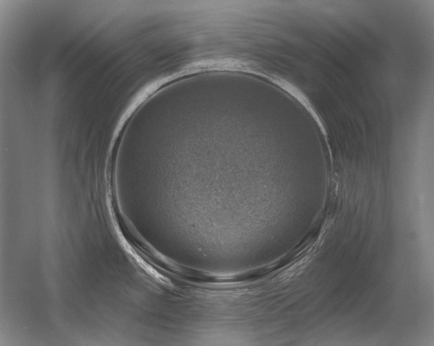 X0000058791389200509301129