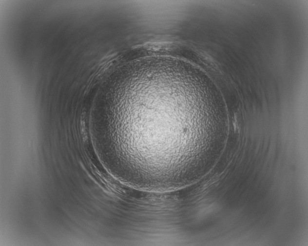 X0000058791396200509301129