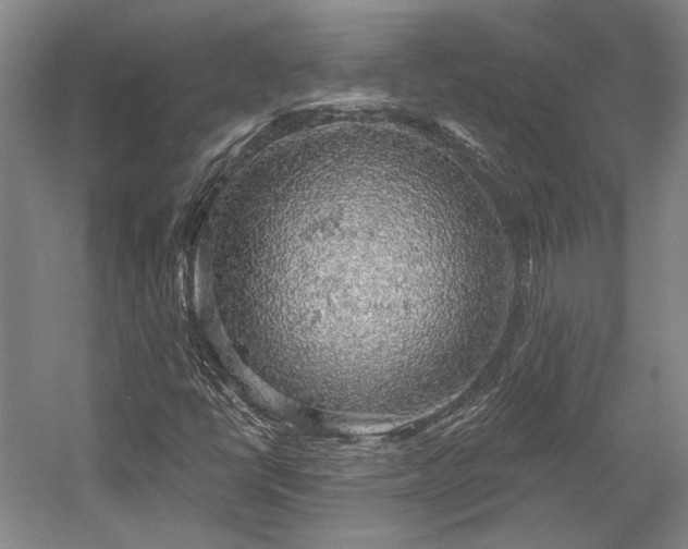 X0000058791398200509301129