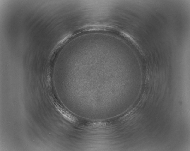 X0000058791403200509301129
