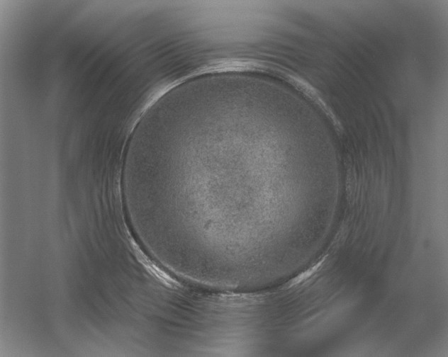 X0000058791417200509301129
