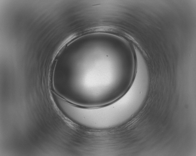 X0000058791426200509301129