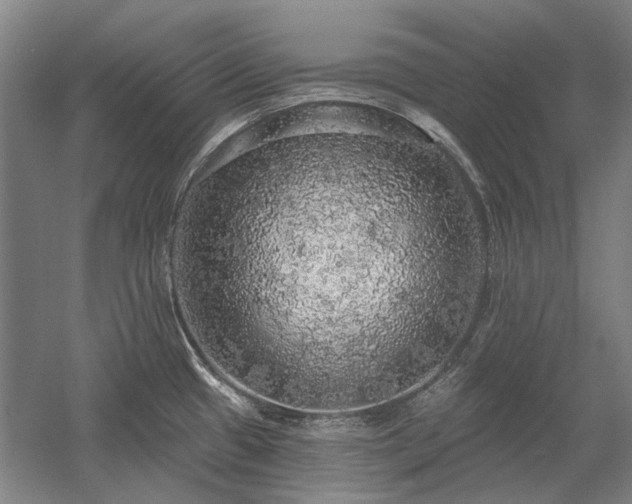 X0000058791433200509301129
