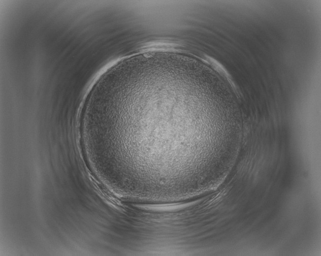 X0000058791435200509301129