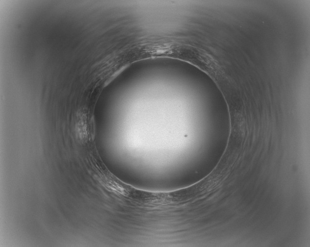 X0000058791442200509301128