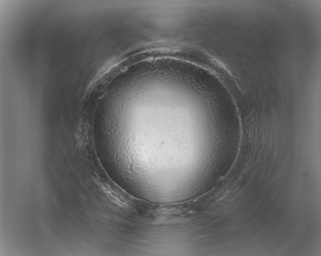 X0000058791448200509301128