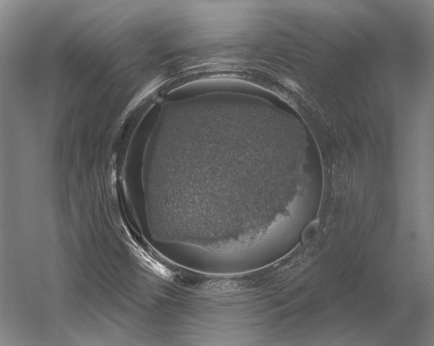 X0000058791450200509301128