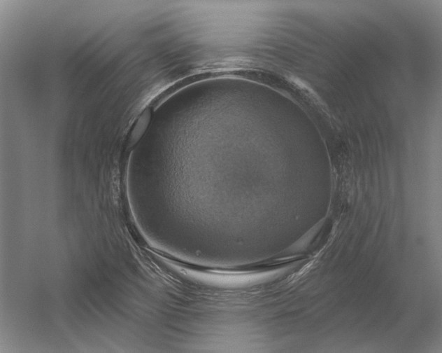 X0000058791457200509301128