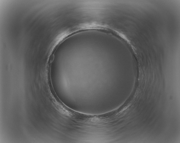 X0000058791463200509301128