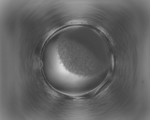 X0000058791465200509301128