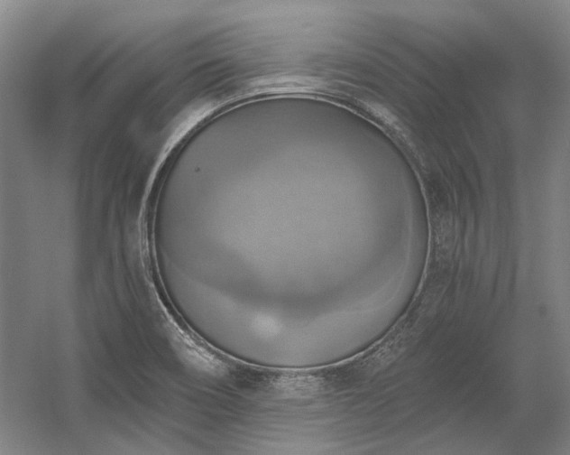 X0000058791466200509301128
