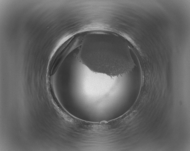 X0000058791469200509301128