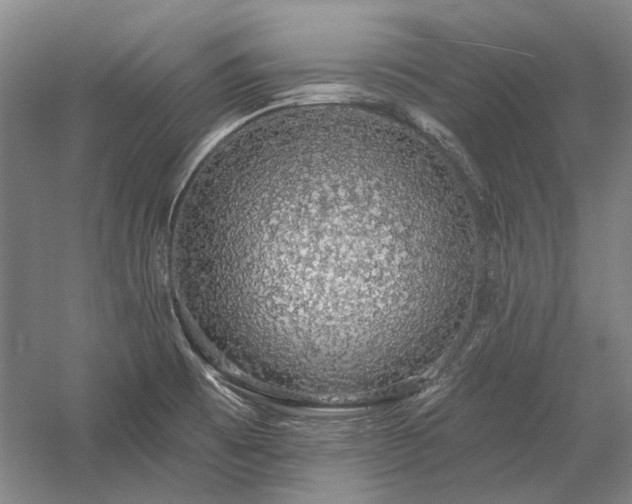 X0000058791473200509301128
