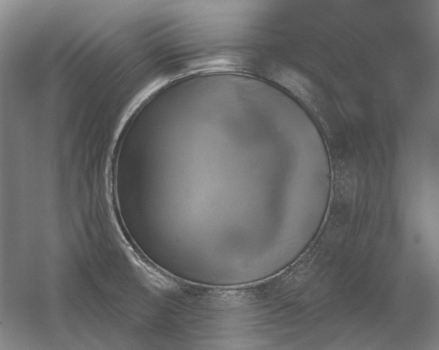 X0000058791474200509301128