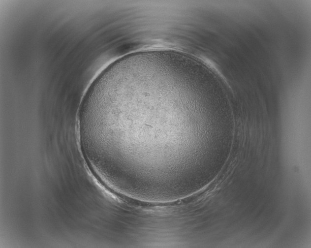 X0000058791476200509301128