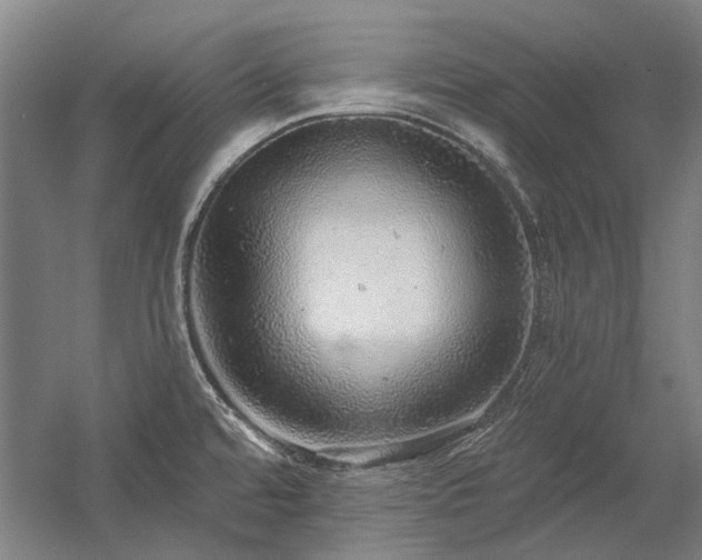 X0000058791480200509301128