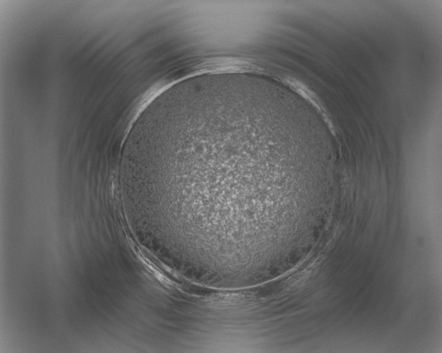 X0000058791481200509301128