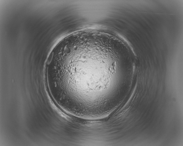 X0000058791483200509301128