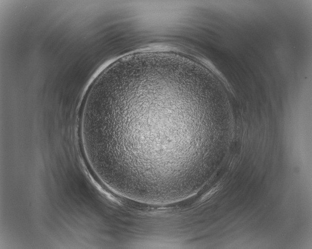 X0000058791484200509301128
