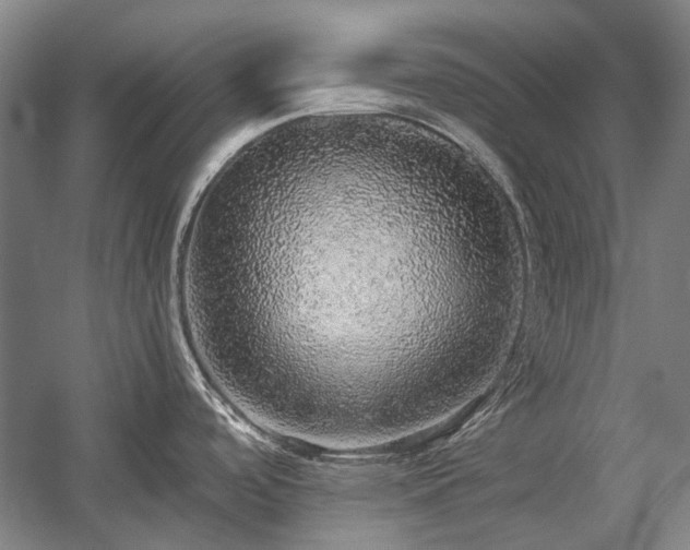 X0000058791488200509301128