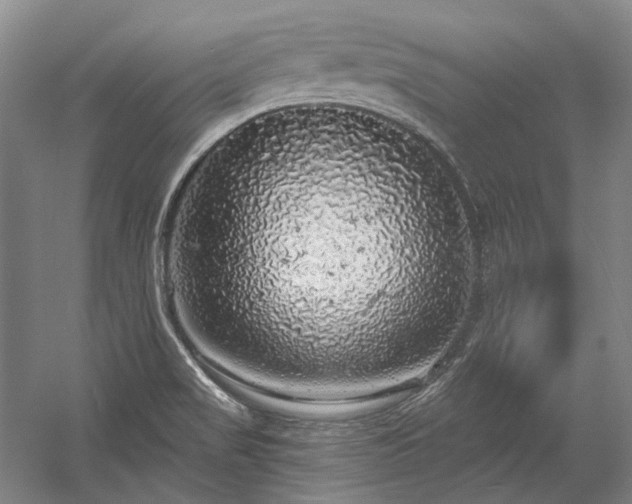 X0000058791517200509301127
