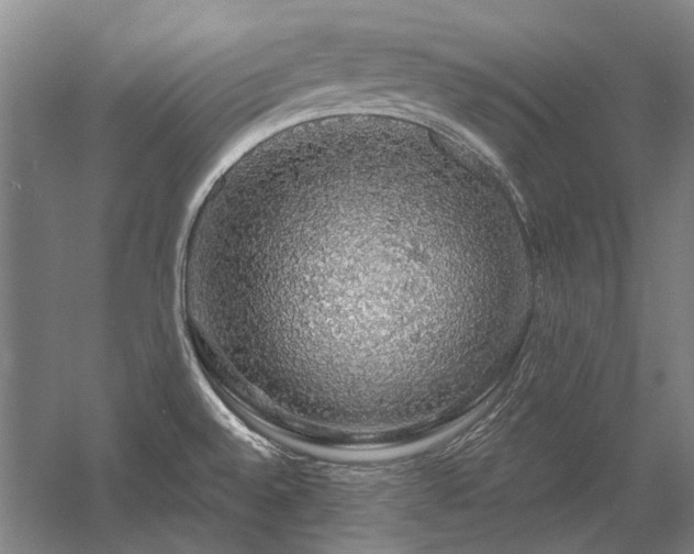 X0000058791528200509301128