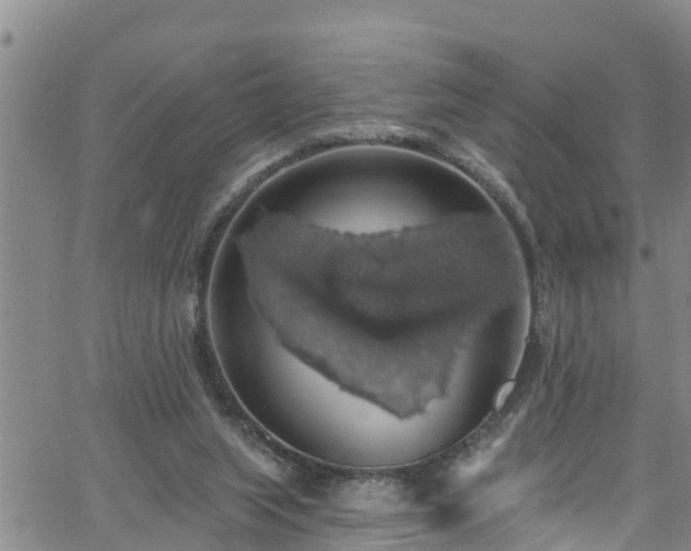 X0000058790063200510031057