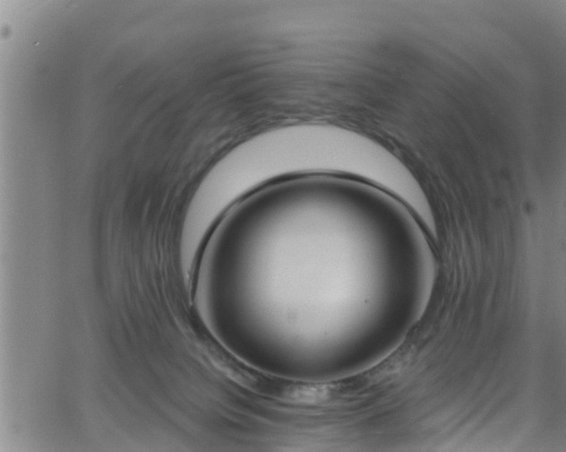 X0000058790084200510031057