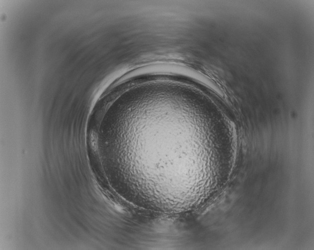 X0000058790148200510031055