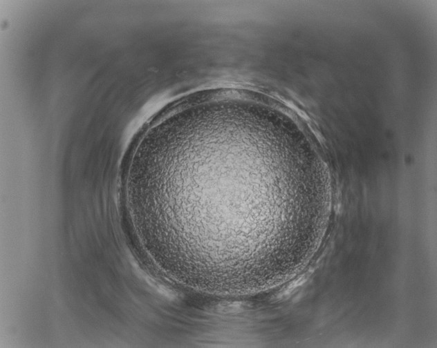 X0000058790152200510031055