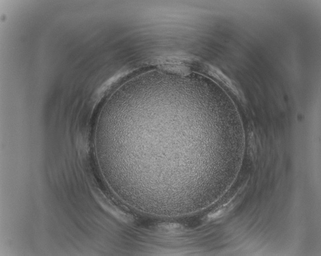 X0000058790203200510031055