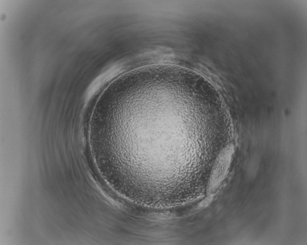 X0000058790245200510031053