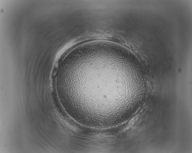 X0000058790246200510031053