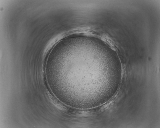 X0000058790293200510031053