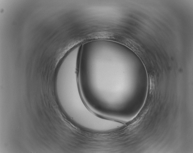 X0000058790301200510031053