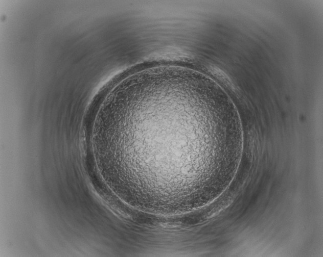 X0000058790680200510031047