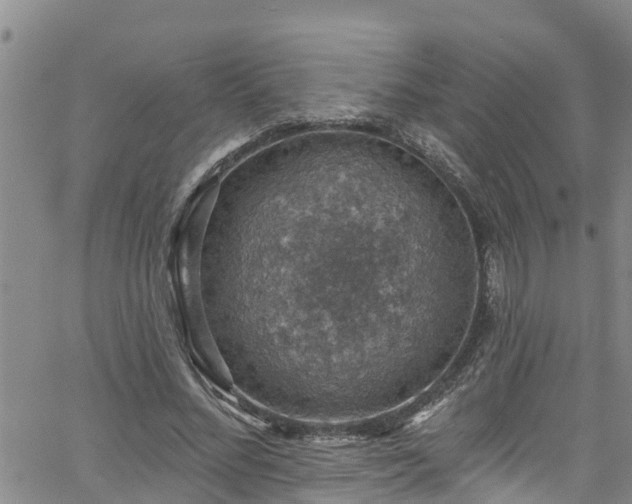 X0000058790684200510031046