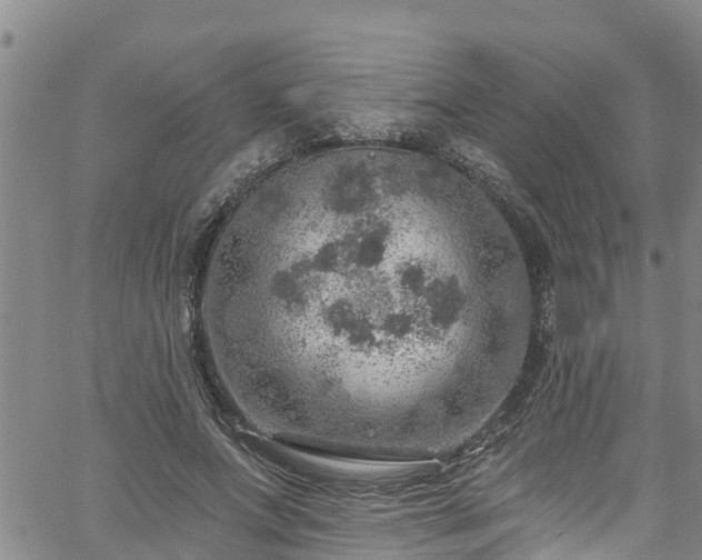 X0000058790687200510031046