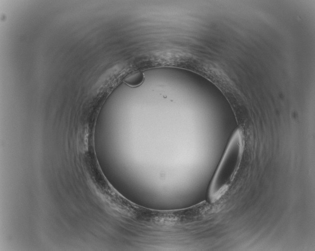 X0000058790694200510031046