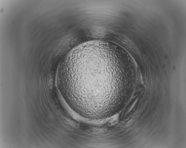 X0000058790697200510031046