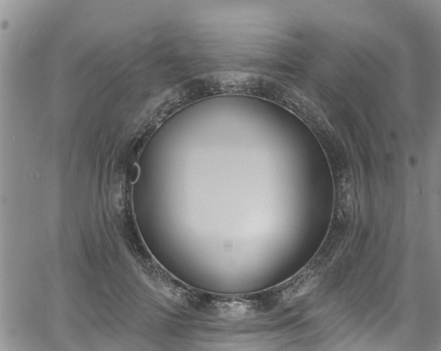 X0000058790698200510031046