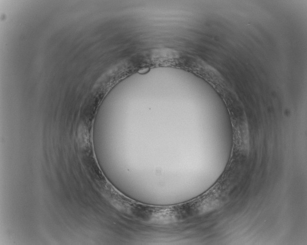 X0000058790705200510031046