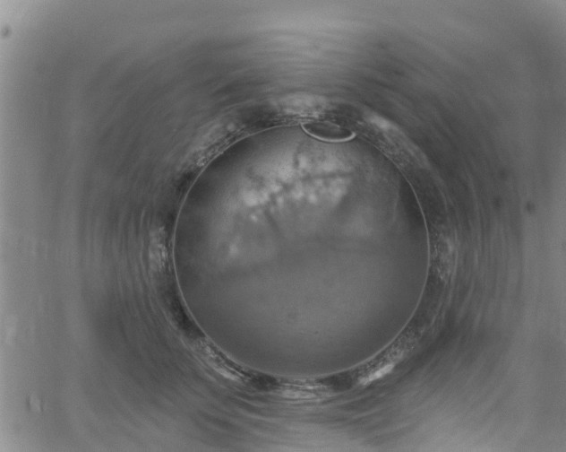 X0000058790707200510031046