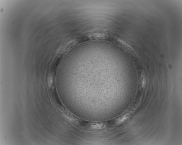 X0000058790709200510031046