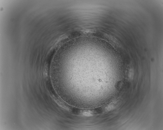 X0000058790710200510031046