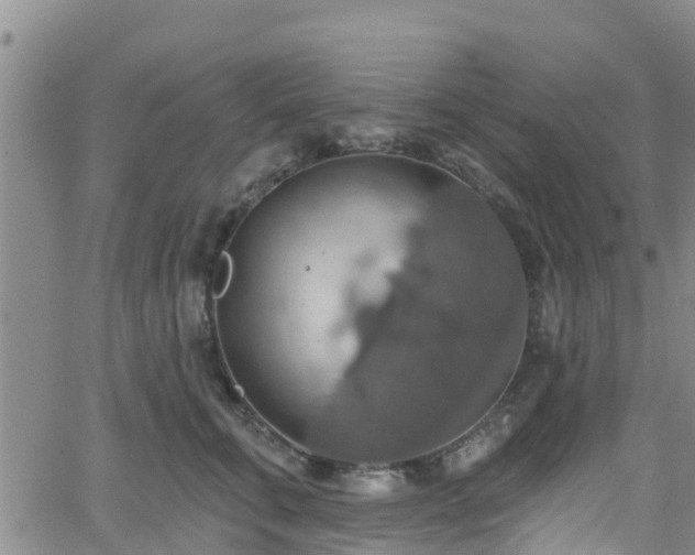 X0000058790711200510031046