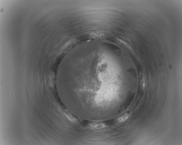 X0000058790712200510031046