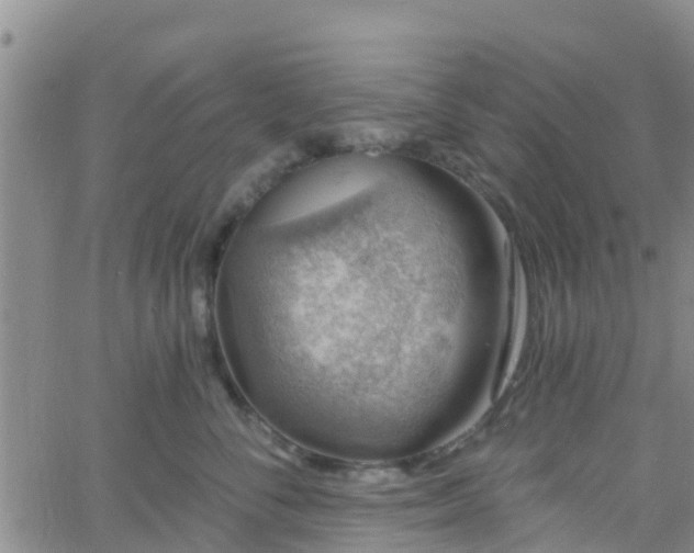 X0000058790716200510031046